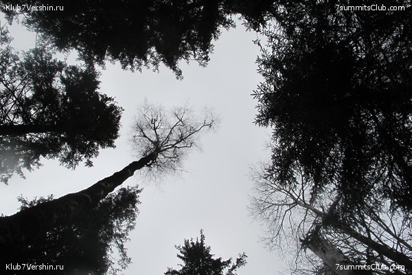 ����� ��������� ������� �����, ���� 43