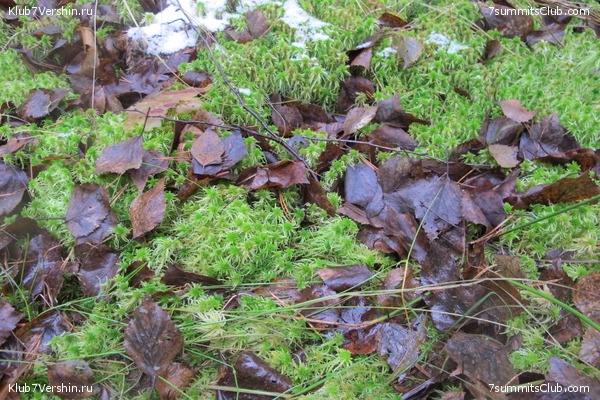 ����� ��������� ������� �����, ���� 45