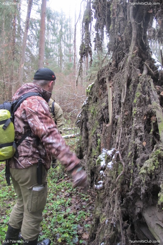 ����� ��������� ������� �����, ���� 136