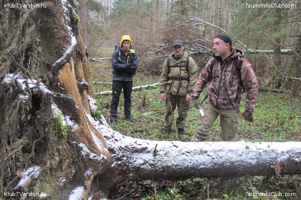 ����� ��������� ������� �����, ���� 47