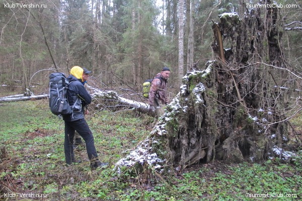 ����� ��������� ������� �����, ���� 51