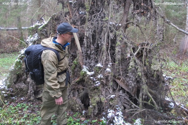 ����� ��������� ������� �����, ���� 52