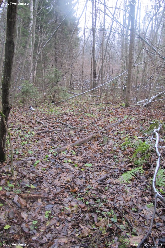 ����� ��������� ������� �����, ���� 140