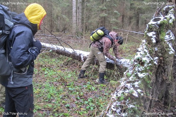 ����� ��������� ������� �����, ���� 54