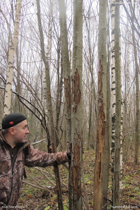 ����� ��������� ������� �����, ���� 142