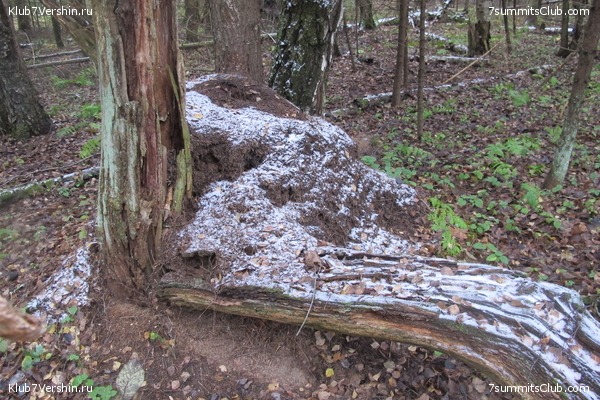 ����� ��������� ������� �����, ���� 56