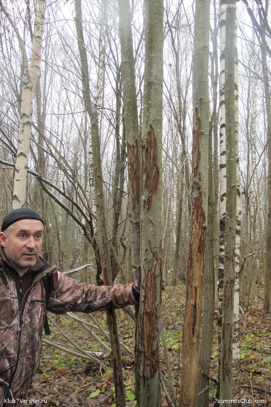 ����� ��������� ������� �����, ���� 144