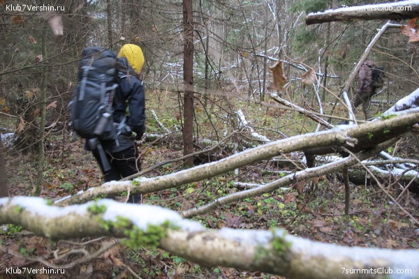 ����� ��������� ������� �����, ���� 58