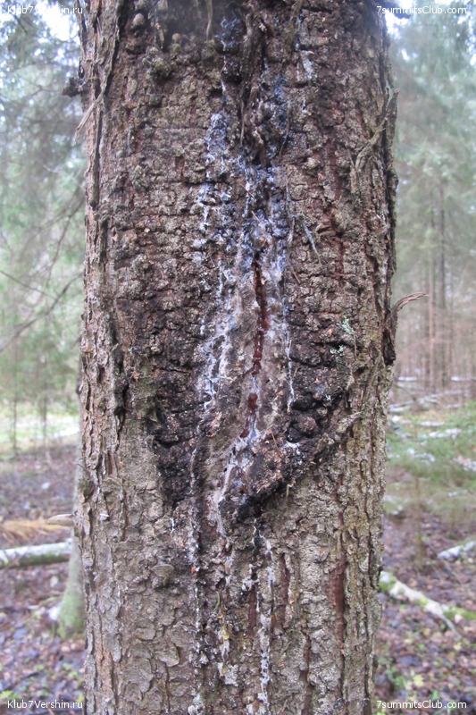 ����� ��������� ������� �����, ���� 147