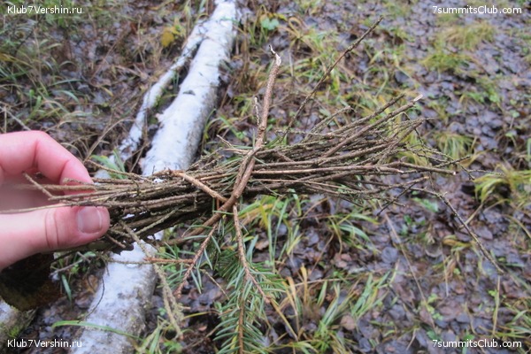 ����� ��������� ������� �����, ���� 60