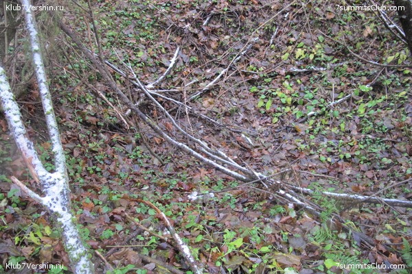 ����� ��������� ������� �����, ���� 61