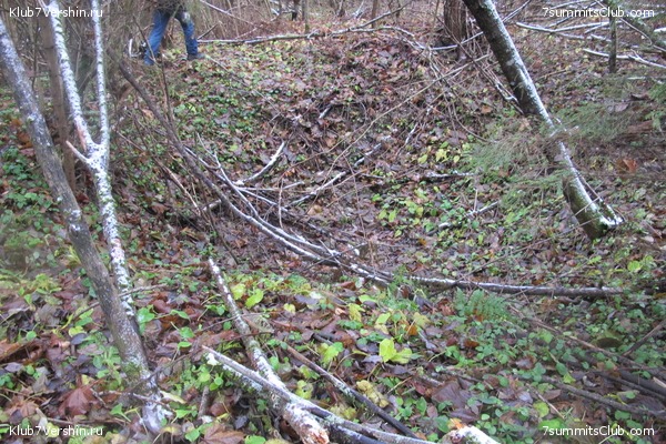 ����� ��������� ������� �����, ���� 62