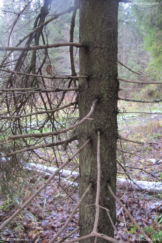 ����� ��������� ������� �����, ���� 153