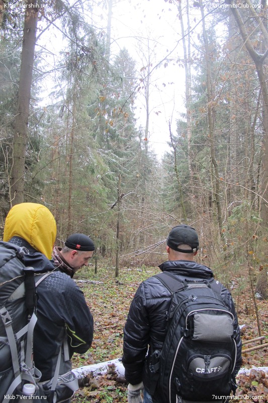 ����� ��������� ������� �����, ���� 154