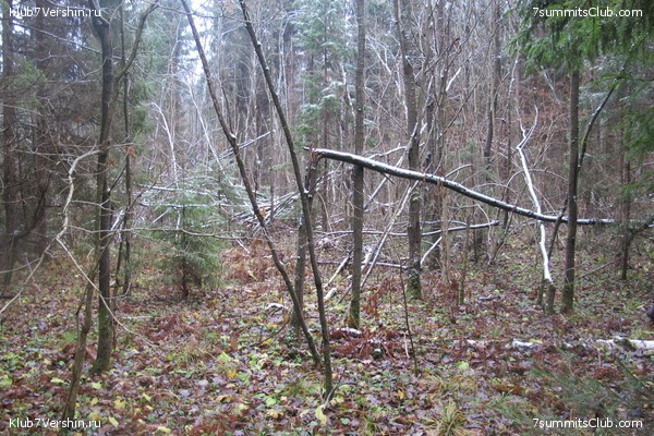 ����� ��������� ������� �����, ���� 63