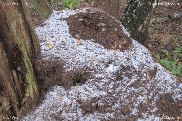 ����� ��������� ������� �����, ���� 67