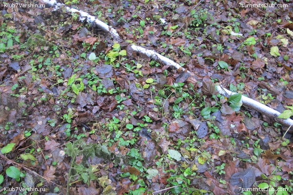 ����� ��������� ������� �����, ���� 68