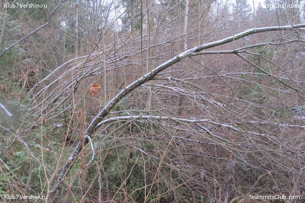 ����� ��������� ������� �����, ���� 69