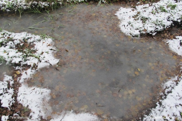 ����� ��������� ������� �����, ���� 78