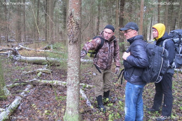 ����� ��������� ������� �����, ���� 80