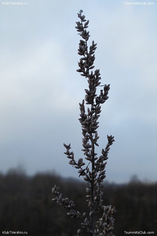 ����� ��������� ������� �����, ���� 159