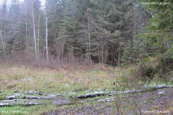 ����� ��������� ������� �����, ���� 87