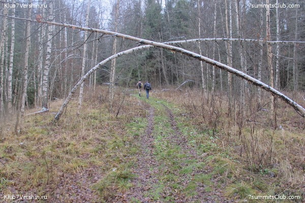 ����� ��������� ������� �����, ���� 88