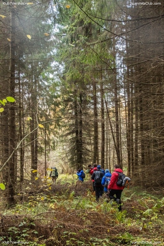 ����� ��������� ������� �����, ���� 160