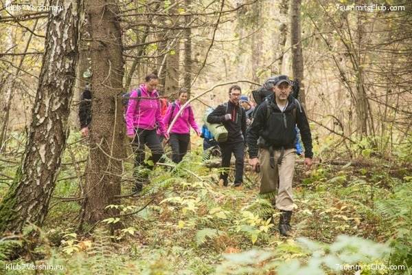 ����� ��������� ������� �����, ���� 98