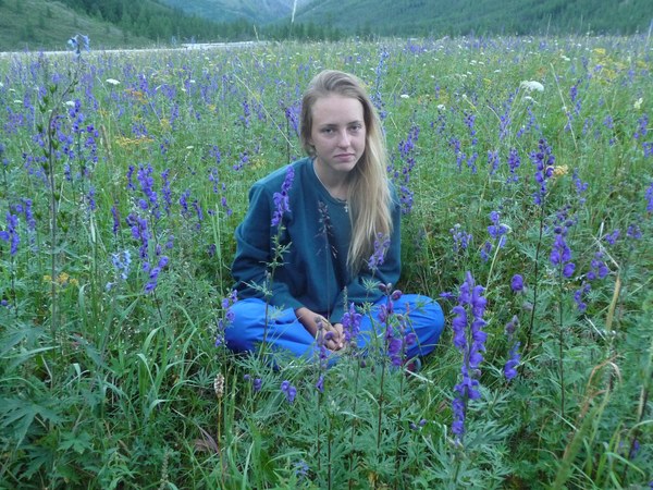 ������ ������ (��������). ���� ��������