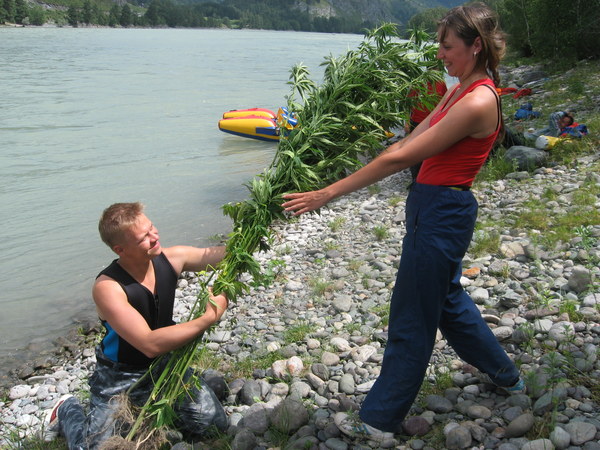 ���� ���������. "�������� �������". ��������� ����