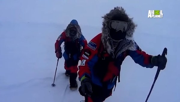 ��������, �������������� ��������, ���� 339