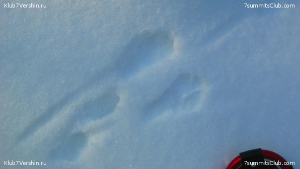 ����� �� ����������� - ������ ����������� � ���� � �������� ������, ���� 1