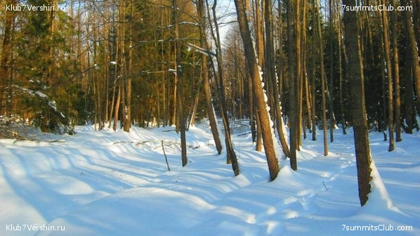 ����� �� ����������� - ������ ����������� � ���� � �������� ������, ���� 2