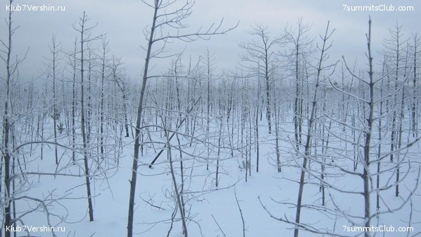 ����� �� ����������� - ������ ����������� � ���� � �������� ������, ���� 10