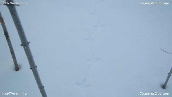 ����� �� ����������� - ������ ����������� � ���� � �������� ������, ���� 11