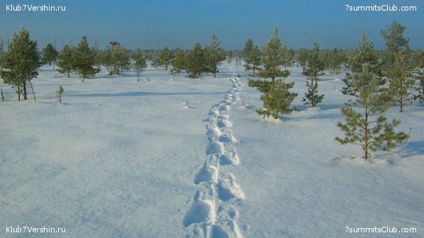 ����� �� ����������� - ������ ����������� � ���� � �������� ������, ���� 12