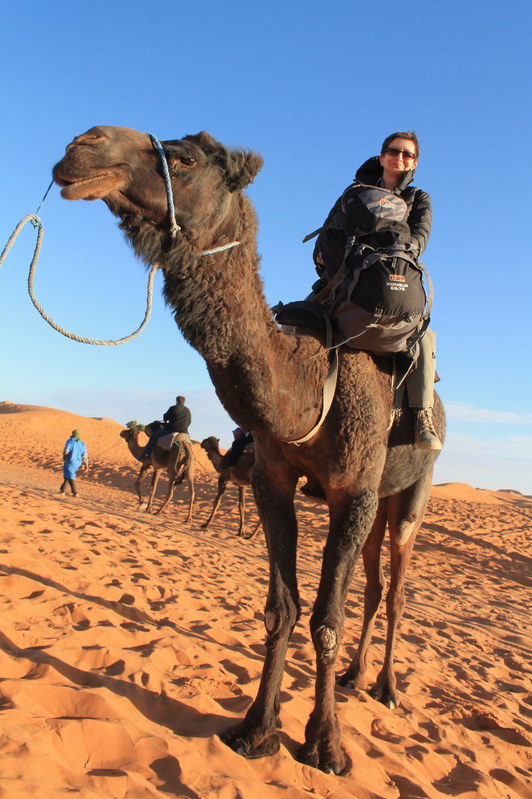 ������� �������. ����� ����������, ���� 44