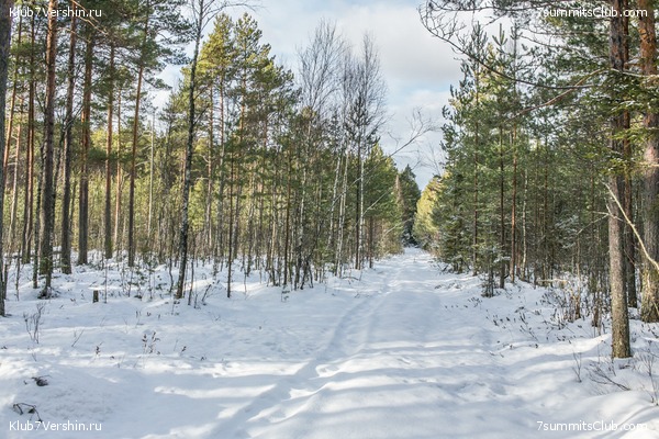 ����� �� ����������� - ������ ����������� � ���� � �������� ������, ���� 18