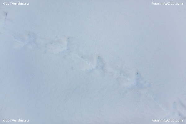 ����� �� ����������� - ������ ����������� � ���� � �������� ������, ���� 22