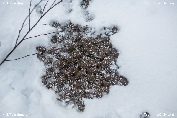 ����� �� ����������� - ������ ����������� � ���� � �������� ������, ���� 24