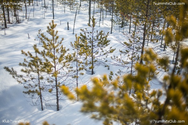 ����� �� ����������� - ������ ����������� � ���� � �������� ������, ���� 47