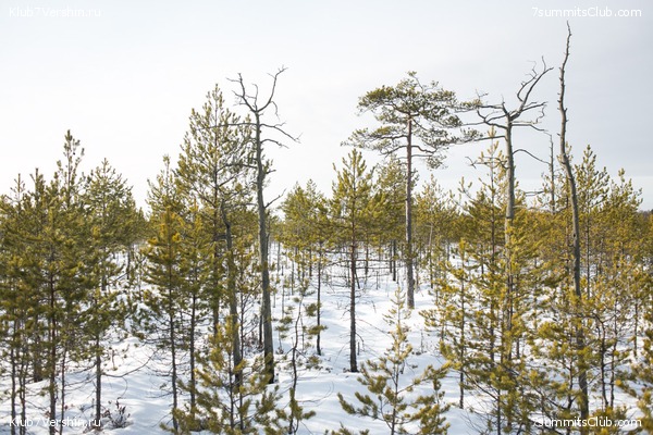 ����� �� ����������� - ������ ����������� � ���� � �������� ������, ���� 49