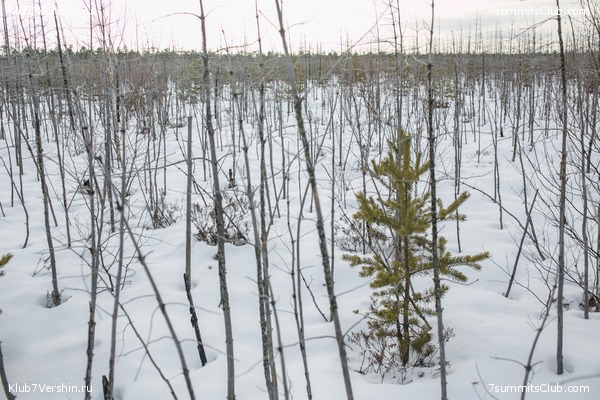 ����� �� ����������� - ������ ����������� � ���� � �������� ������, ���� 52