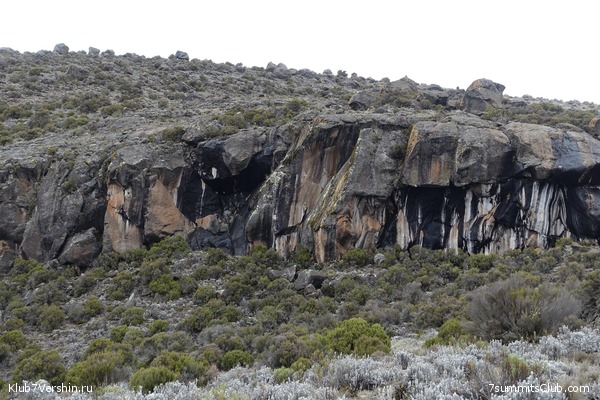 00-������������ �������, ���� 100