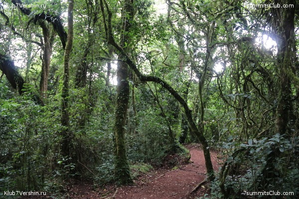 00-������������ �������, ���� 109