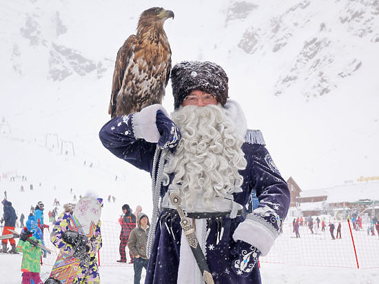 ��������, �������������� ��������, ���� 1195