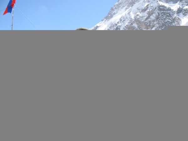 ��������, �������������� ��������, ���� 1243