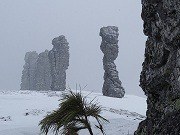 ��������, �������������� ��������, ���� 1039