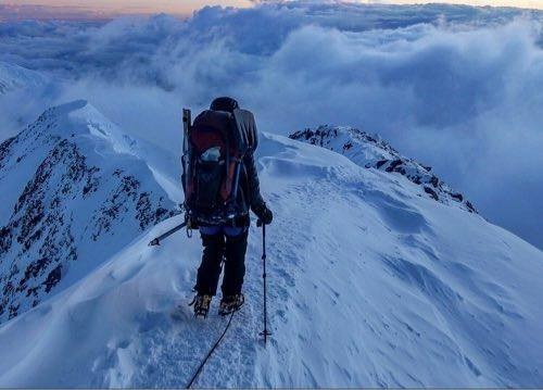 ��������, �������������� ��������, ���� 1137